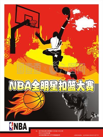 毛球新